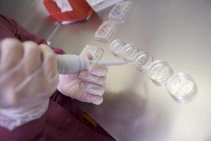 Embriólogo preparando placas de petri durante la FIV
